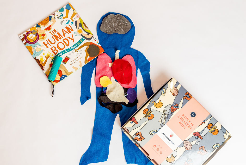 Human Boxes The Human Body Box – Boite Experience Boxes